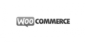 woocommerce.png